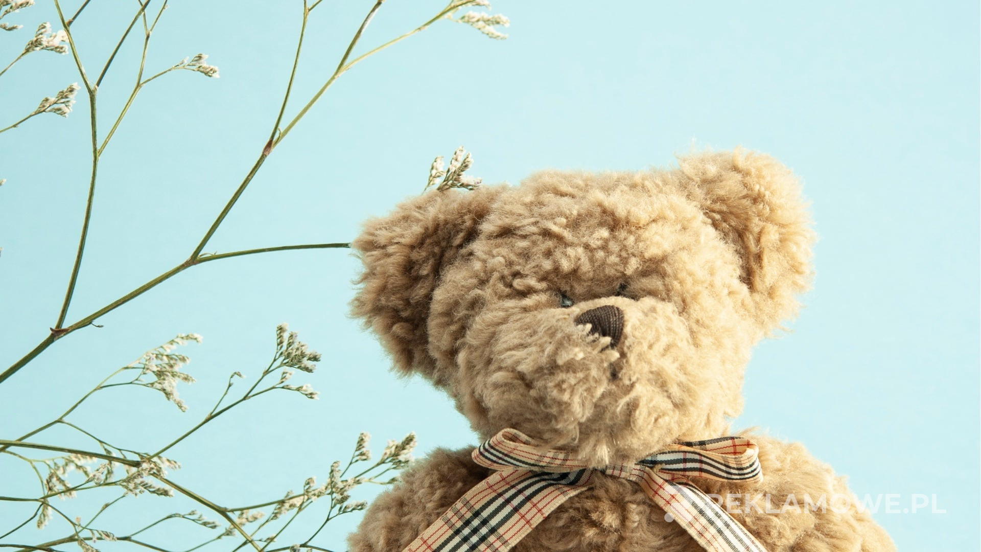 Ekologiczne maskotki reklamowe jako rosnący trend w marketingu