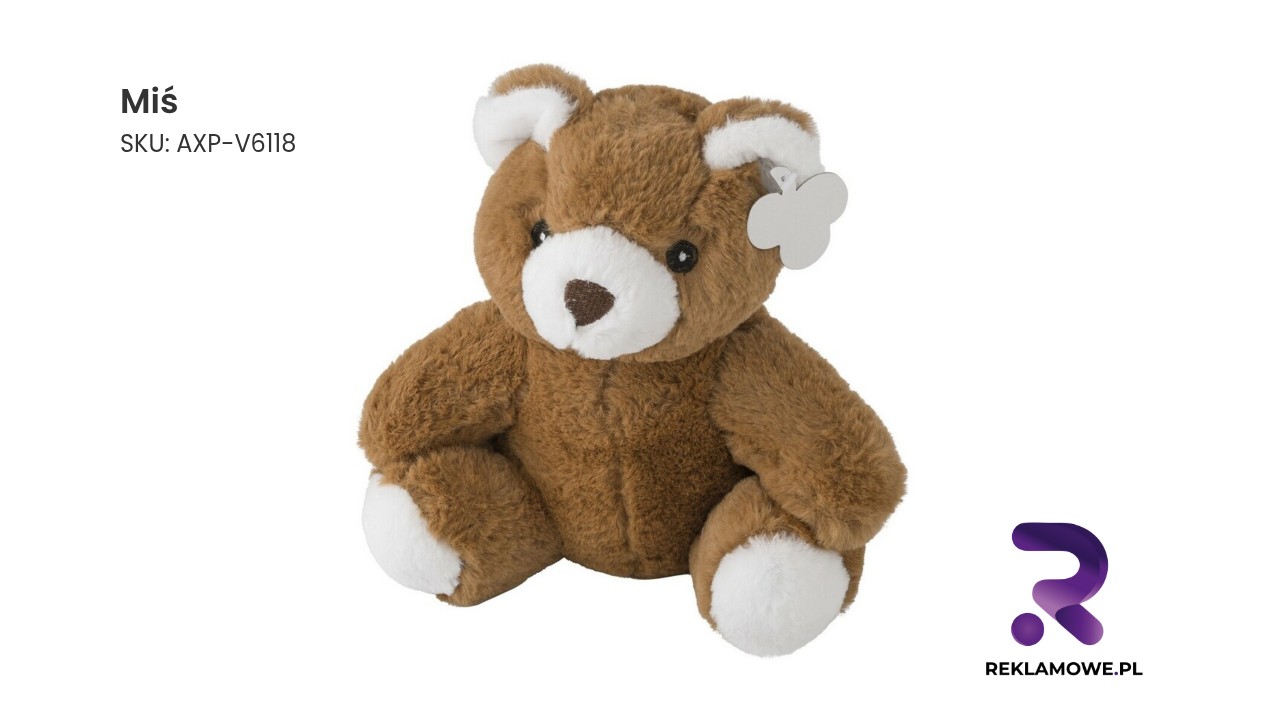Zdjęcie pluszowego misia
