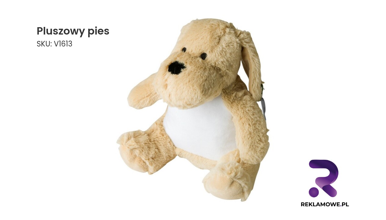 Zdjęcie pluszowego psa